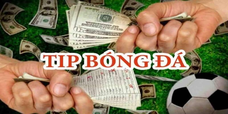 Điểm mạnh khi săn tin nội gián nhà cái