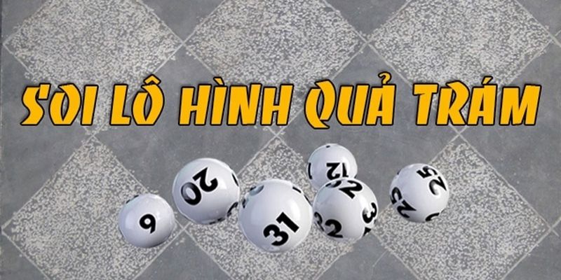 Đôi nét về soi cầu quả trám