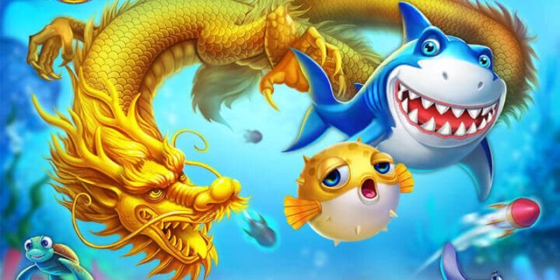 Hướng dẫn cách chơi để tối đa hóa điểm số và đổi thưởng