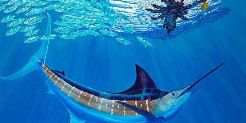 Khai thác điểm yếu của ngư để tăng tỷ lệ trúng lớn