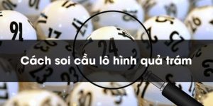 Soi Cầu Quả Trám - Bí Kíp Chốt Lô Đề Hiệu Quả, Dễ Trúng