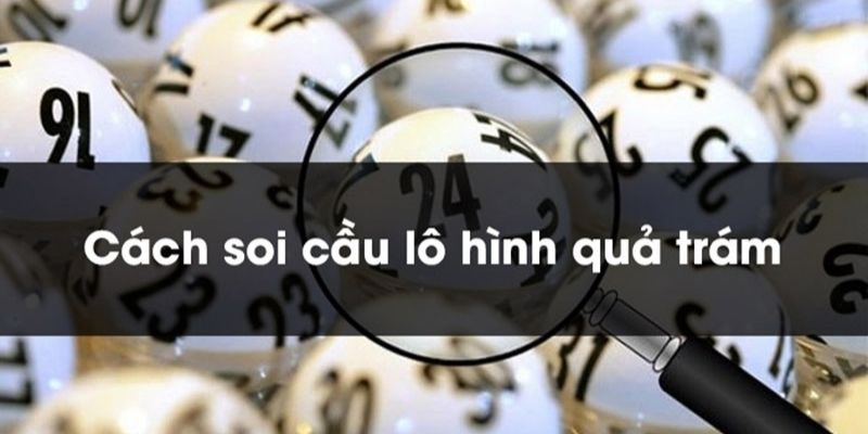 Soi Cầu Quả Trám - Bí Kíp Chốt Lô Đề Hiệu Quả, Dễ Trúng