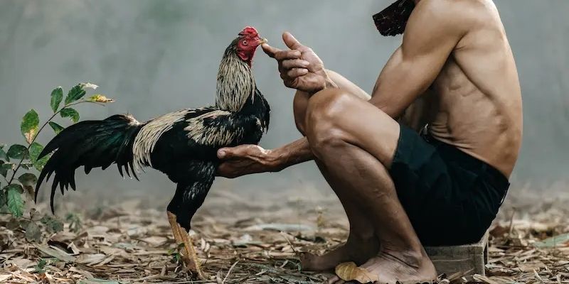 Cần nắm các kỹ thuật cơ bản để dễ dàng biết ưu nhược điểm