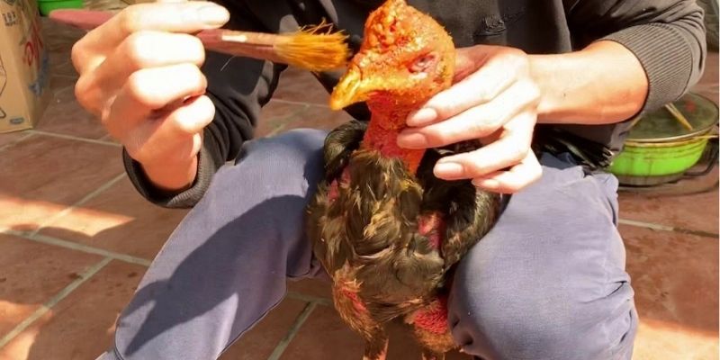 Hoàn tất chăm sóc bằng cách thoa thuốc 