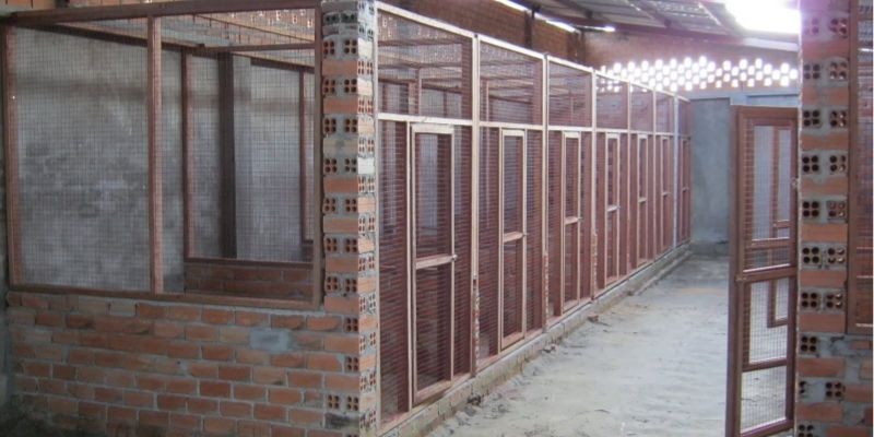 Hướng dẫn xây dựng chuồng trại gà chọi đảm bảo an toàn