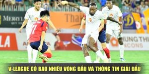 V-League Có Bao Nhiêu Vòng Đấu Và Thông Tin Giải Đấu