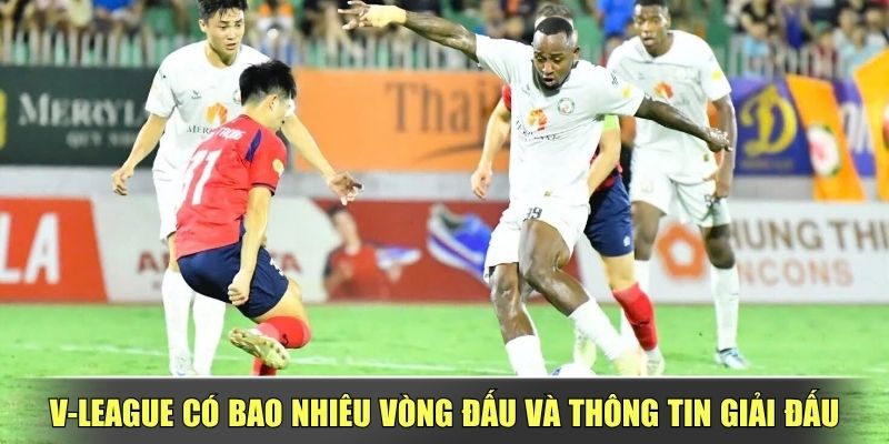V-League Có Bao Nhiêu Vòng Đấu Và Thông Tin Giải Đấu
